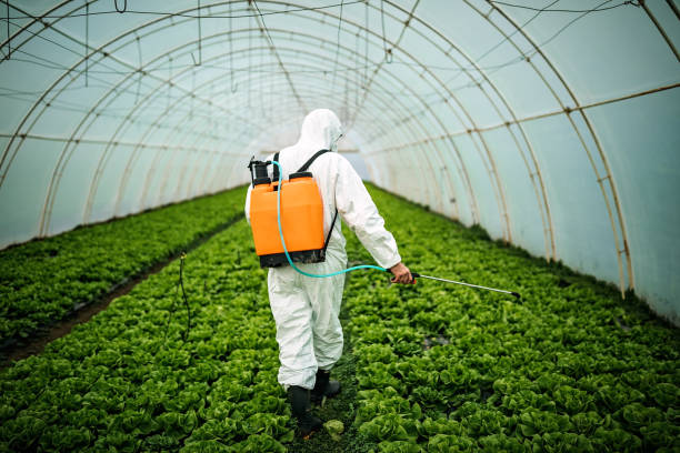 Best Pest Prevention Services  in Crestwood Village, NJ