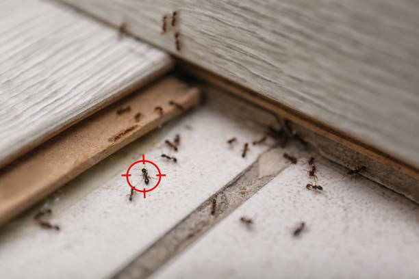 Best Pest Removal Services  in Crestwood Village, NJ