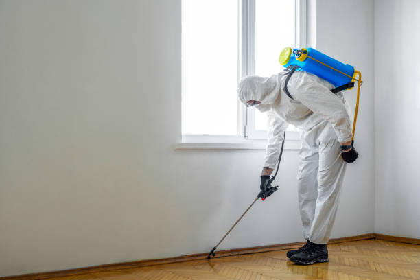 Best Best Pest Control Companies  in Crestwood Village, NJ