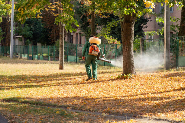 Best Termite Control Services  in Crestwood Village, NJ