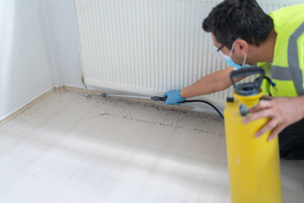 Best Pest Control for Homes  in Crestwood Village, NJ