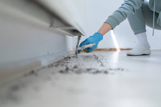 Best Wasp Removal Services  in Crestwood Village, NJ